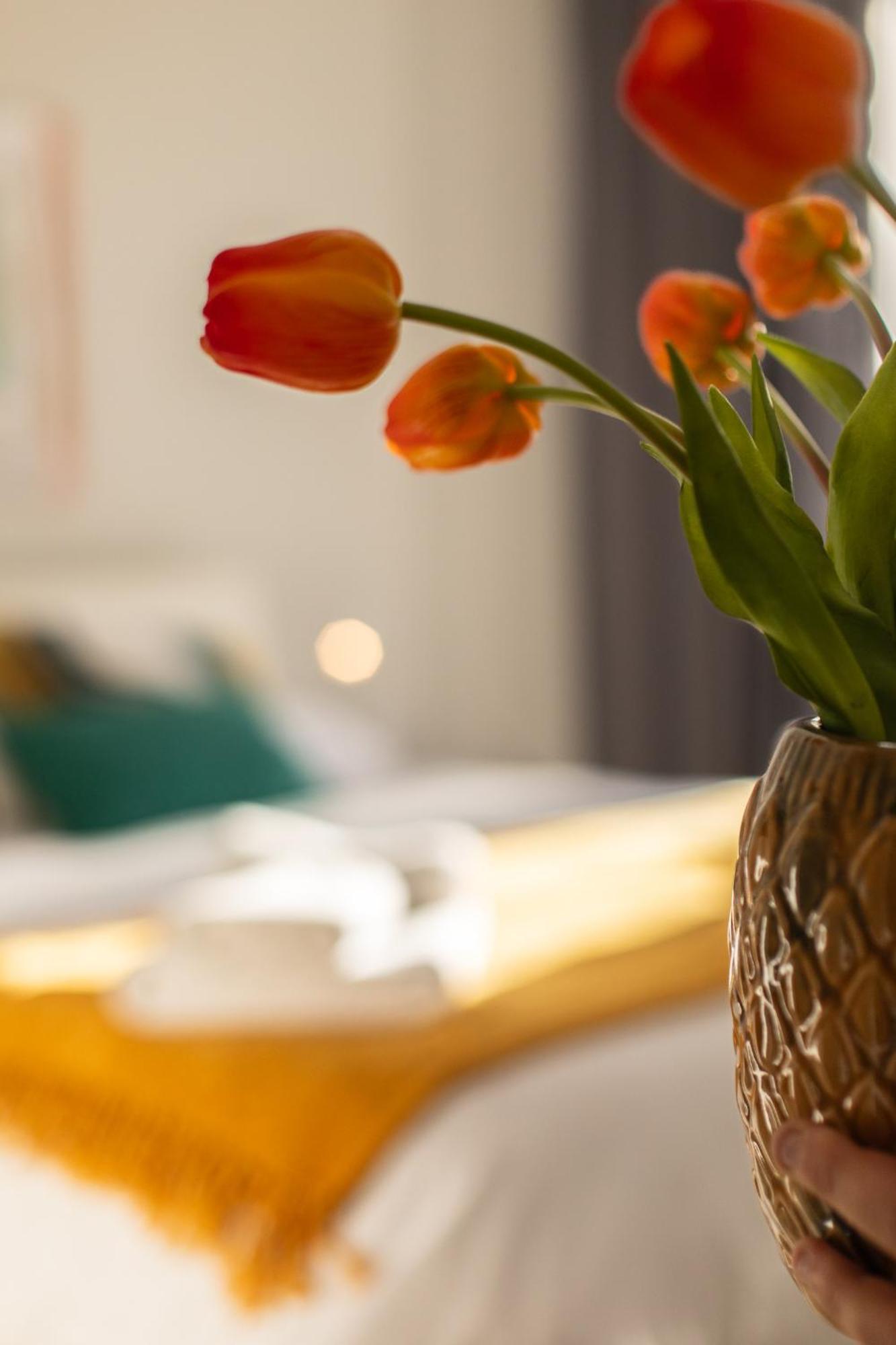 Veigas De Iria - Apartamento Turistico Vut Padrón Exteriör bild