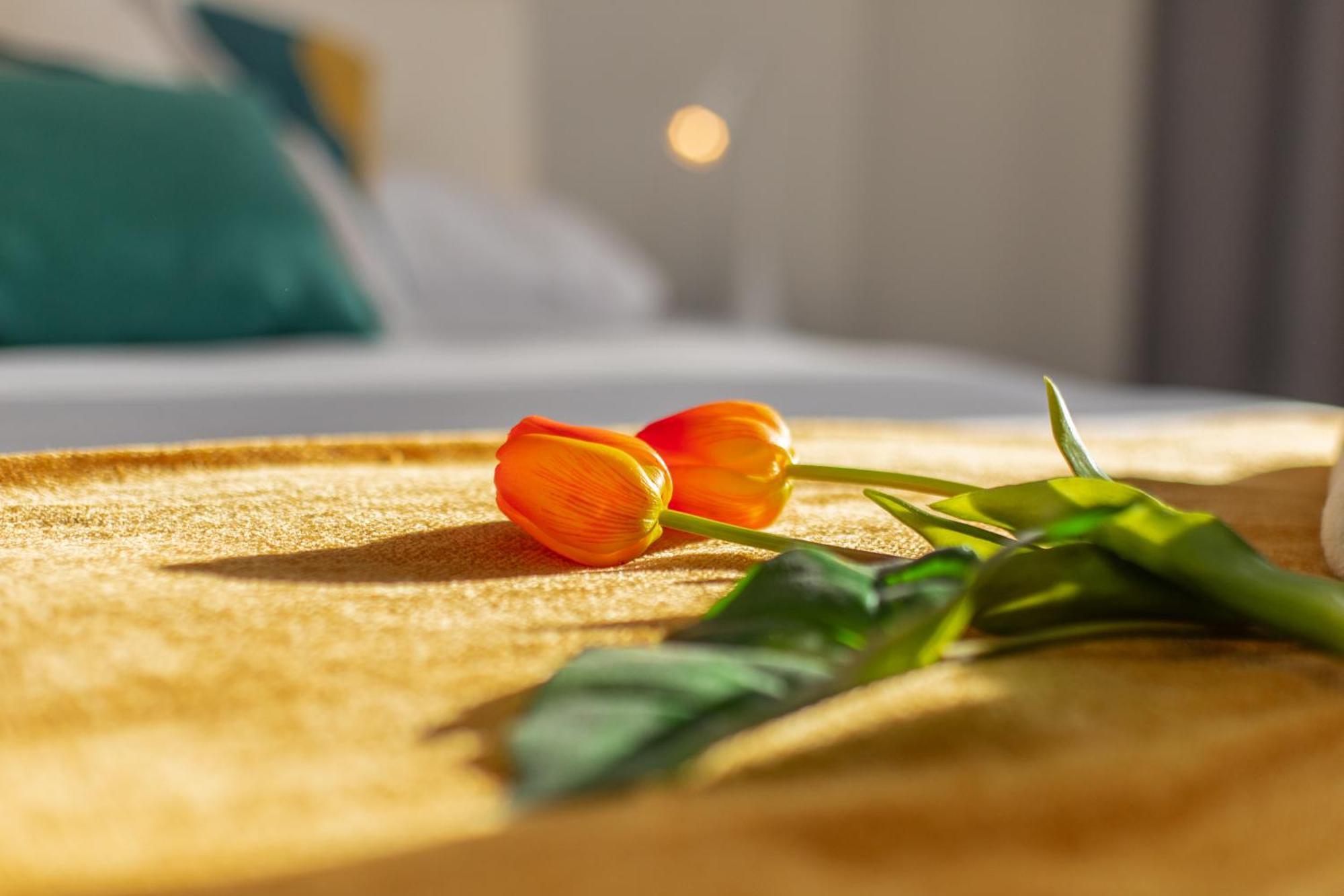 Veigas De Iria - Apartamento Turistico Vut Padrón Exteriör bild